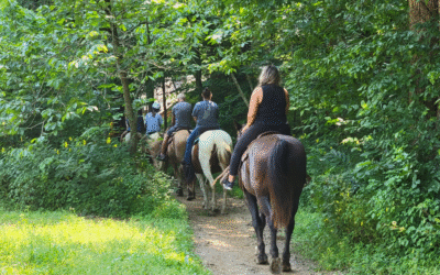 Book a Charter Bus for College Camping at Brown County State Park