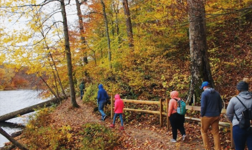 Brown-County-State-Park