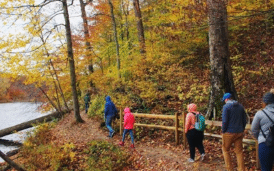Camping in Brown County State Park – Full Visitor’s Guide